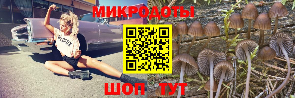 Псилоцибиновые грибы MAGIC MUSHROOMS Лабинск