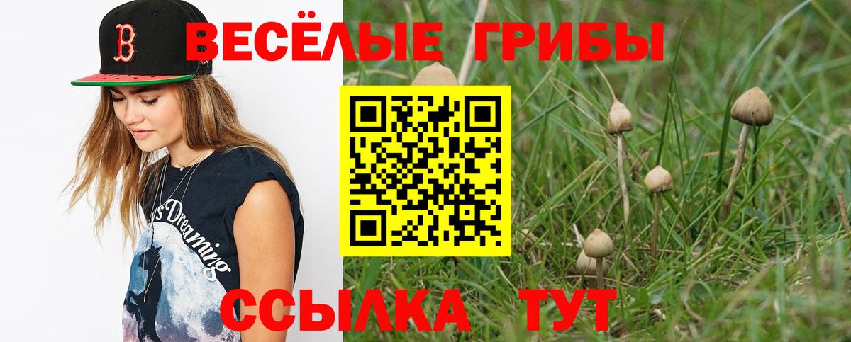 Псилоцибиновые грибы мицелий  Вход с VPN  Лабинск  Псилоцибиновые грибы прущие грибы 